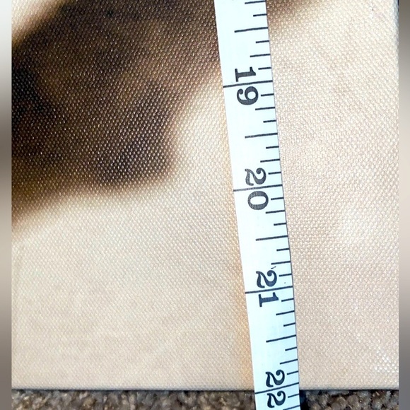 FLORA MAIA PICTURE SET IKEA PJATTERYD 22”x22”x 2"  Cherry Blossom Canvas - Picture 3 of 6